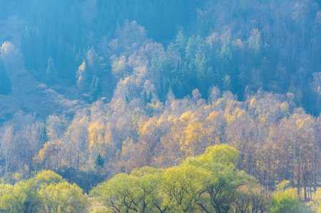 Enjoy the stunning beauty of the autumn Tien Shan mountains. Immerse yourself in vibrant foliage and picturesque scenery. An ideal destination for nature lovers looking for the magic of autumn.の写真素材