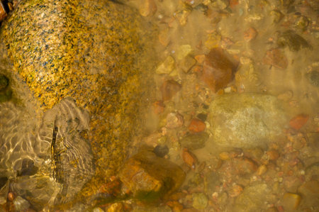 Immerse yourself in the tranquility of a picturesque stream. Enjoy crystal clear water flowing over...