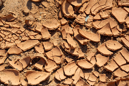 Revealing the arid beauty of an area that has stood the test of time, the cracks form intricate paths, creating a unique and breathtaking mosaic. Steadfast Beautyの写真素材
