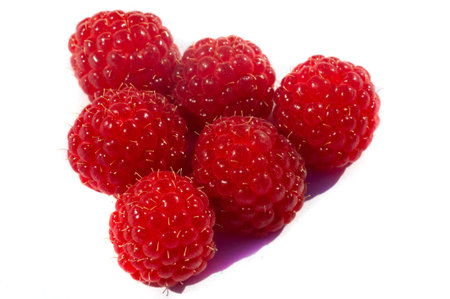 Raspberry. In late summer, native raspberries make their way from the fields to your refrigerator in...