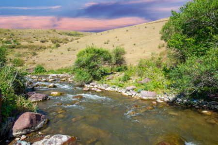 Immerse yourself in the beauty of nature. Experience the magic of a mountain river. Let the soothing sound of flowing water relax your mind and soul.の写真素材
