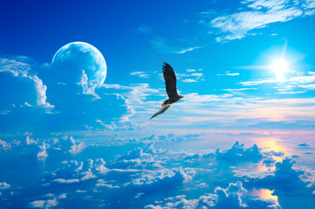 Known for its majestic appearance and strong symbolism in the United States. Recognized as the...