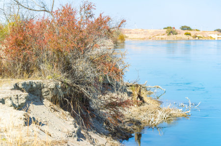 Experience the beauty of fall in the steppe, prairie and riverside. Get lost in the serene landscapes of nature. Immerse yourself in the colors and sounds of the seasons.の写真素材