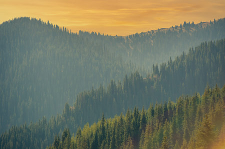 Explore the enchanting spruce forests of the Tien Shan. Experience the vibrant colors of autumn in...