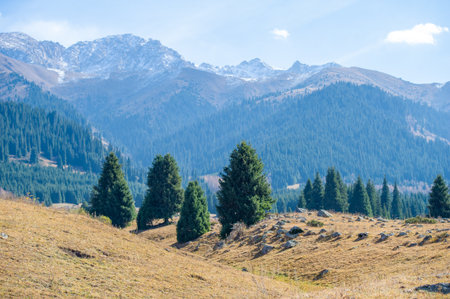 Feel the beauty of autumn in the Tien Shan mountains. Enjoy a peaceful stroll surrounded by lush greenery and colorful flowers. Immerse yourself in tranquility as you explore this hillside locationの写真素材