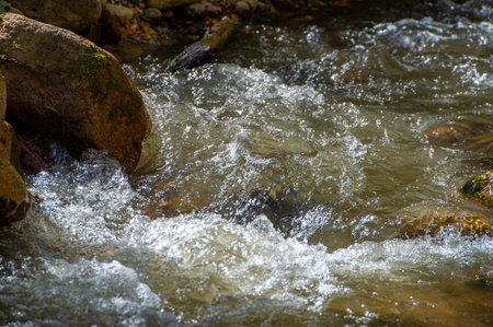 water in a mountain stream. breaks through the stones. Enjoy the serene beauty of a mountain stream....