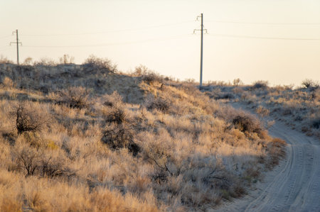 Enjoy the beauty of autumn in the steppe. Watch the sun set over the dunes. Casting golden hues across the landscape. Feel the sense of serenity and magic in the air during this sunset.の写真素材