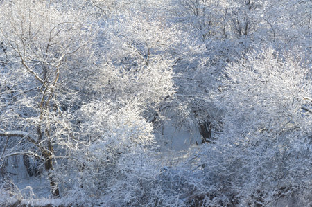 The mountains. Winter. Get to know the beautiful scenery on winter hikes. From streams covered with sparkling ice to snow-capped mountains and convenient paths.の写真素材