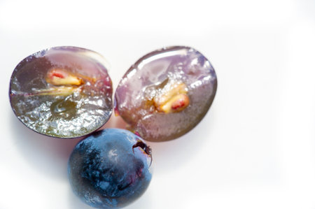 Feel the beauty and traditions of winemaking. From the vine to the table. Taste the essence of the harvest. Celebrate the art of agriculture in every glass.の写真素材