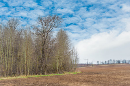 Experience the beauty and rejuvenation of nature during the harvest season. Explore the cycle of life in a sunlit plowed field. Prepare for abundance and generosity,の写真素材