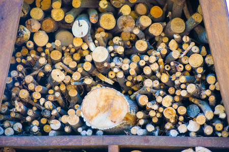 Wooden installation. A stunning stack of rustic logs ready to be transformed into stunning works of art. Nature Inspired Creationsの写真素材