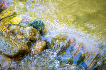 water in a mountain stream. Feel the tranquility of a mountain stream. Immerse yourself in the...