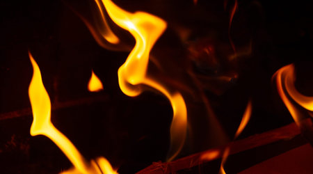 Fire in the fireplace. Aged wood smells wonderful, so if you're going to burn it, choose logs for...