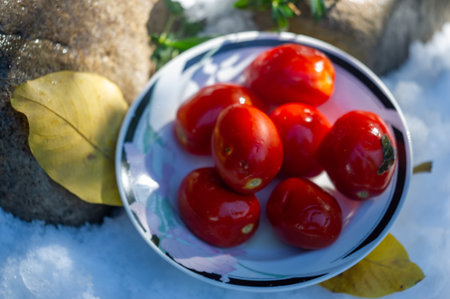 Fresh and juicy barrel tomatoes. Ideal for snacking. Salted tomatoes add flavor to traditional tomatoes. Refreshing, vitamin-rich healthy snack options. Vegetarian and delicious supplementの写真素材