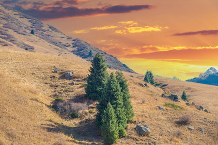 Feel the bright colors of autumn in the Tien Shan range. Immerse yourself in nature's orchestral paradise. A fascinating palette of contrasting shades. Immerse yourself in a symphony of autumn colorsの写真素材