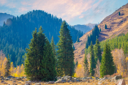 Experience the beauty of nature's symphony in bright autumn colors. Immerse yourself in the stunning hues of the Tien Shan. Enchant your feelings with the contrasting palette of fall foliage.の写真素材