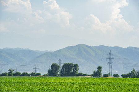 Ensure safety measures are in place for workers. Maintain and inspect power lines to avoid outages. Be prepared for possible wildfires in the Foothills region during the summer months.の写真素材