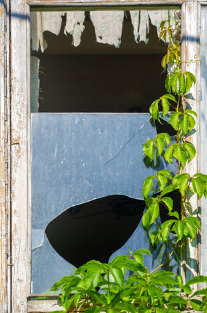 Explore the mysteries of an old abandoned house Uncover its dark secrets and hidden treasures...
