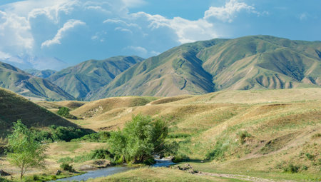 Explore the beauty of the foothills and majestic mountains. Enjoy outdoor activities such as hiking, camping and fishing in the summer. Enjoy stunning views and tranquil natural surroundings.の写真素材