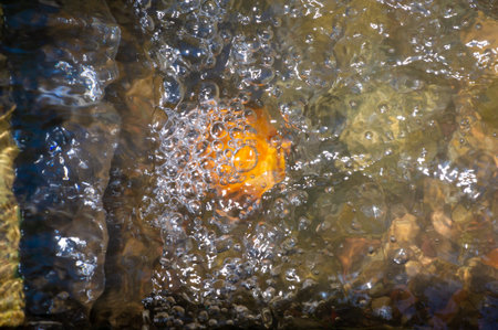 Enjoy the soothing sounds of a mountain stream Enjoy the refreshing mist of a small waterfall Watch...