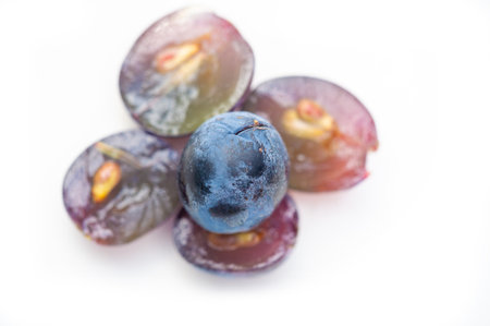 Enjoy the beauty of the vineyards and wineries. Learn about the wine making process from grape to glass. Explore the rich history and culture of wine production. Try a variety of winesの写真素材