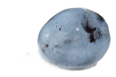 Feel the calming energy of plum against a white background. Promote health and wellness with the...