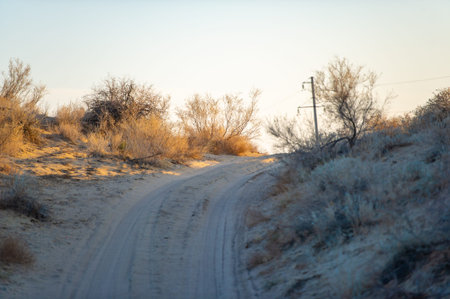 Enjoy the beauty of autumn in the steppe. Watch breathtaking sunsets over the dunes. Immerse yourself in stunning desert landscapes.の写真素材