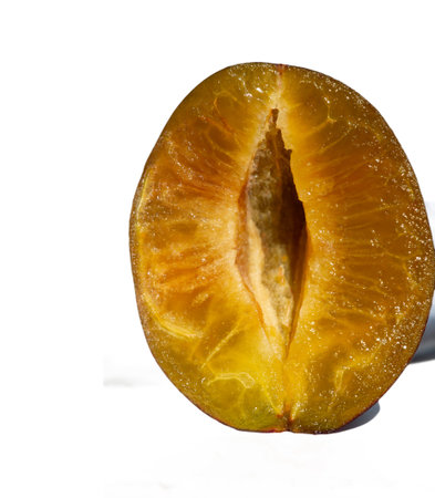 Plum design elements on a white background create a fresh and modern look. The color purple symbolizes health, energy and creativity. A design concept that conveys health and vitality.の写真素材