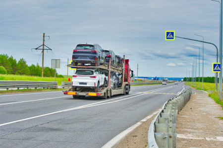 Enjoy the beauty of nature as you drive along this scenic highway. Enjoy breathtaking views of the majestic trees lining the road. Enjoy a peaceful and relaxing ride through a natural wonderland.の写真素材