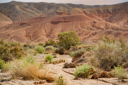 Red Mountains of Boguty. Sunset Serenade As the sun makes its final bow, it casts a warm glow across the mystical desert, filling the sand dunes with a chorus of vibrant colors.の写真素材