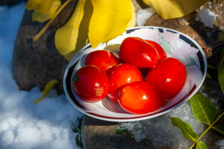 Fresh and juicy barrel tomatoes for a refreshing snack. A healthy option for vegetarians, rich in vitamins. Salted tomatoes for a savory twist on a classic favorite.の写真素材