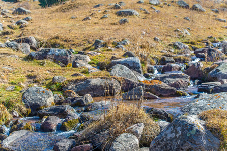 Enjoy the beauty of nature with stunning photos. Breathtaking images of flowing water and serene landscapes. Illustrates the harmony and serenity of nature.の写真素材