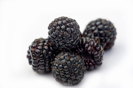 Enjoy the juicy and ripe taste of black raspberries and blackberries. Rich in vitamins and antioxidants. An ideal snack or ingredient for vegetarian dishes.の写真素材