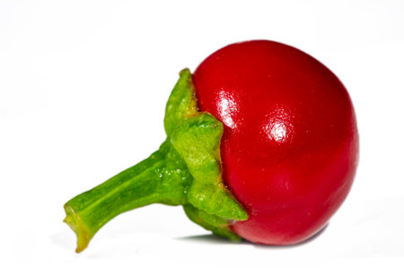 Hot round chili pepper containing capsaicinoids. Comes from the Quechua language. Known as rue. Commonly used in cooking to add heat and flavor. When ripe it is usually red in color.の写真素材