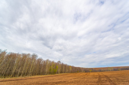 Prepare the ground for successful crop growth. A thoroughly plowed field is ready for sowing seeds....