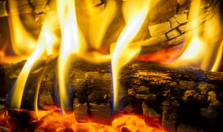 Fire in the fireplace. Aged wood smells wonderful, so if you're going to burn it, choose logs for...
