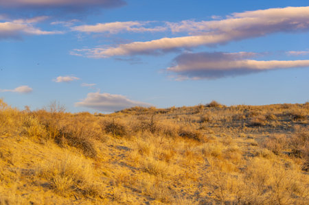 Enjoy the beauty of autumn in the steppe. Watch breathtaking sunsets over the dunes. Immerse...