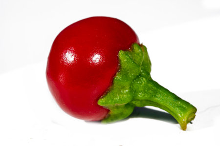 Contains capsaicinoids, which give it a spicy kick. Derived from the Quechua word rutu. Red color when ripe. An excellent addition to dishes to add flavor and spiciness.の写真素材