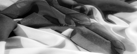 Experience the elegance of luxurious fabric with a silky texture. Sophisticated black and white tones highlight any design style. Subtle wrinkles add depth and volume,の写真素材