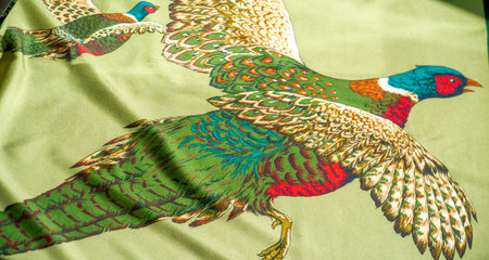 A vibrant depiction of a pheasant in flight, with detailed feathers in shades of green, red, and brown, set against a solid green background.の写真素材