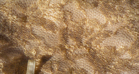 Blur. The soft beige fabric intricately decorated with golden lace and gemstone accents, paired with delicate ribbons, provides a harmonious and luxurious texture with a graceful flow.の写真素材