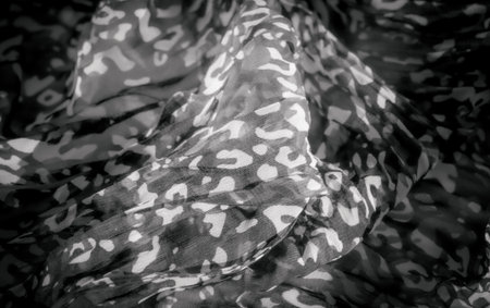 Blur of black and white fabric with organic shapes resembling nature-inspired forms. The delicate textile creates a soft, flowing appearance with a bold contrast of dark and light areas.の写真素材