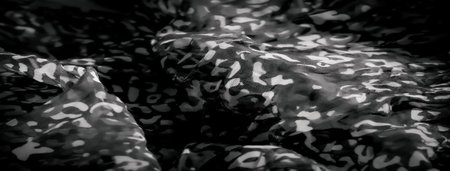 Blur of black and white fabric with organic shapes resembling nature-inspired forms. The delicate...