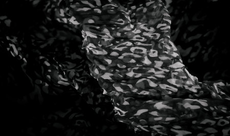 Blur of abstract light and dark patterns on soft, flowing fabric. The delicate folds create a dynamic sense of motion, with intricate design elements that catch the play of light and shadow.の写真素材