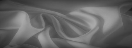 Blur the soft folds and fluid texture of this grayscale fabric. The smooth appearance and subtle...