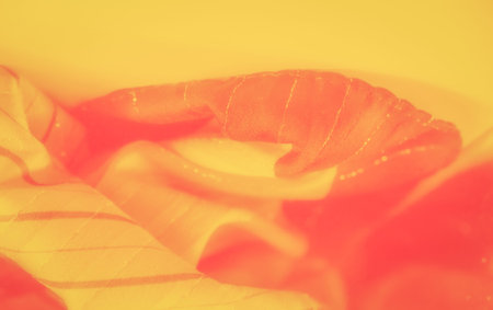 Blur of a smooth yellow fabric with subtle striped accents and glowing light reflections. The combination of soft texture and vibrant color creates a warm, abstract visual perfect for artistic use.の写真素材