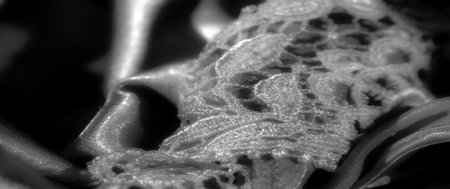 Blur: A close-up capture of a soft, shiny fabric flowing in delicate folds. The smooth surface reflects light, creating depth and a luxurious appearance in grayscale.の写真素材