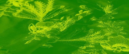 Blur, the green fabric displays a stunning floral embroidery with intricate detailing, perfect for a sophisticated look, combining texture and vibrant color for visual interestの写真素材