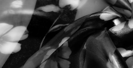 Blur: A grayscale fabric with floral designs has a gentle, soft focus, emphasizing intricate patterns and depth through alternating translucent and opaque layers for a refined effect.の写真素材