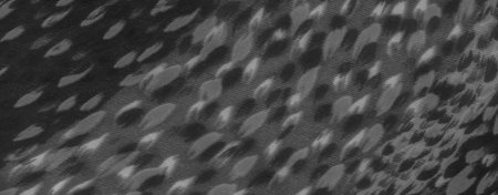 Blurred texture on a smooth, soft grayscale fabric showcases abstract shapes, enhancing the...
